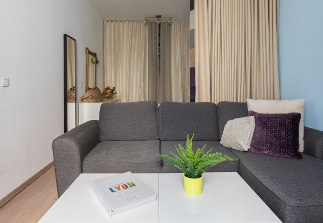 Apartment in Lyon - DIFY Sebastien Gryphe - Jean Macé